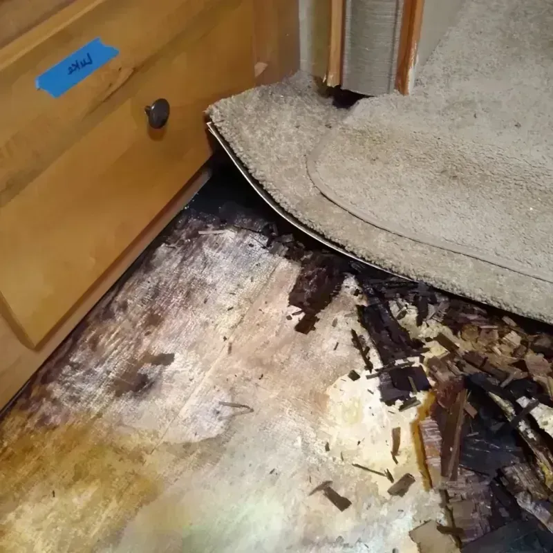 Wood Floor Water Damage in Brighton, CO